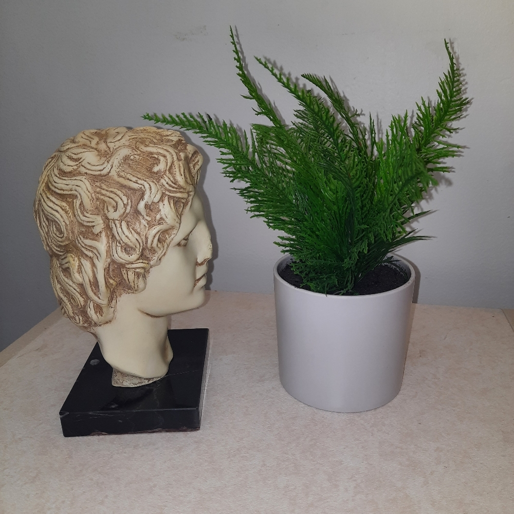 Bust of Alexander the great